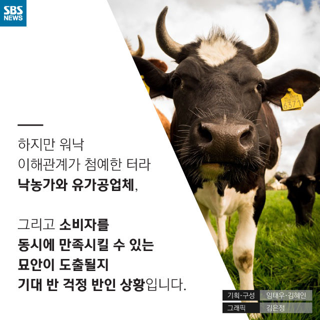 메인이미지  17 : 