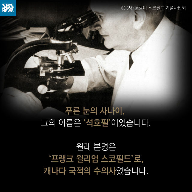 메인이미지  4 : 