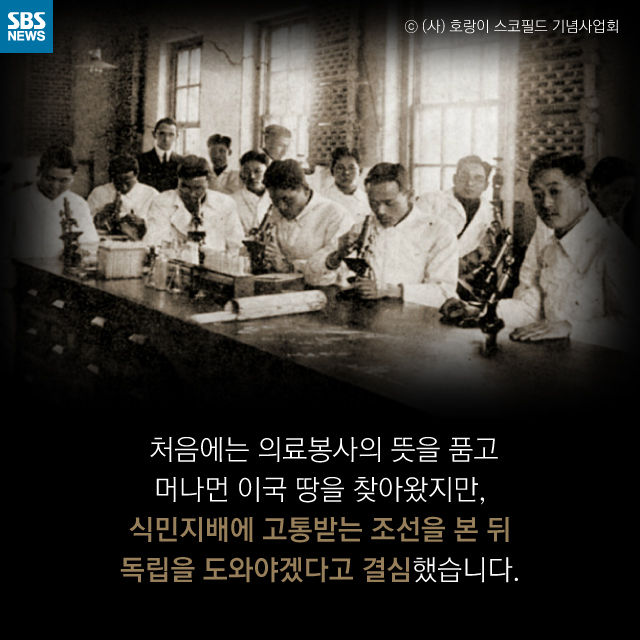 메인이미지  6 : 