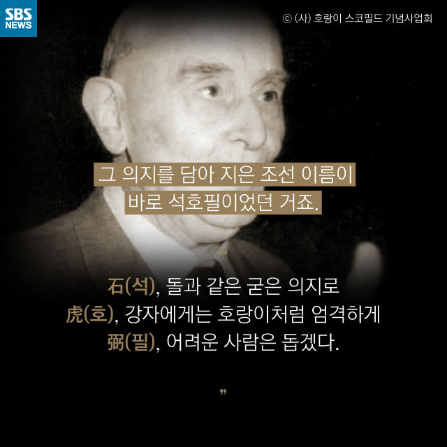 메인이미지  7 : 