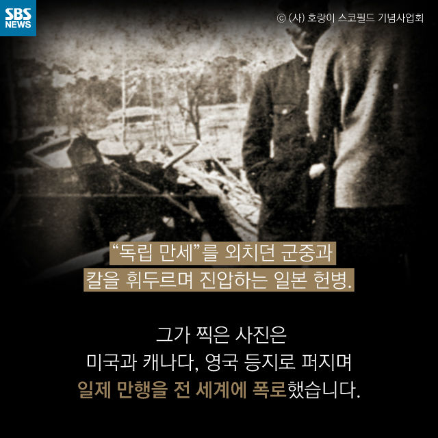 메인이미지  9 : 