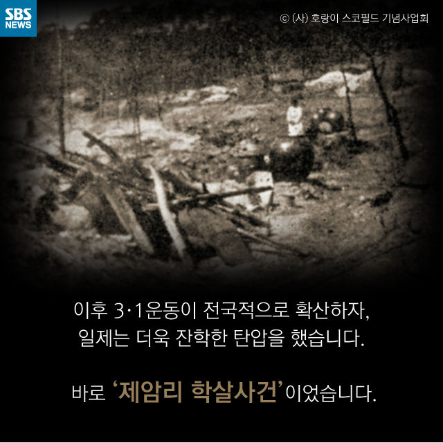 메인이미지  10 : 