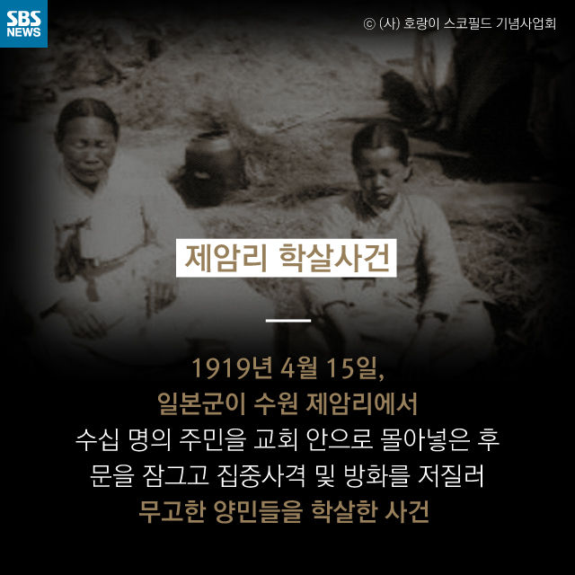 메인이미지  11 : 