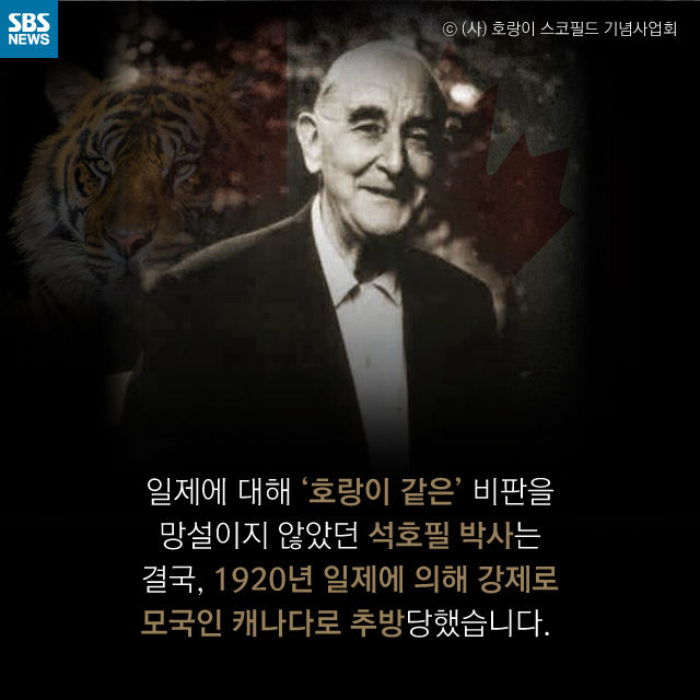 메인이미지  13 : 