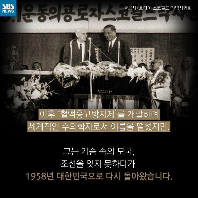 메인이미지  14 : 