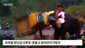 [비디오머그] 격분한 코끼리 3시간 난동&hellip;축제 '아수라장'