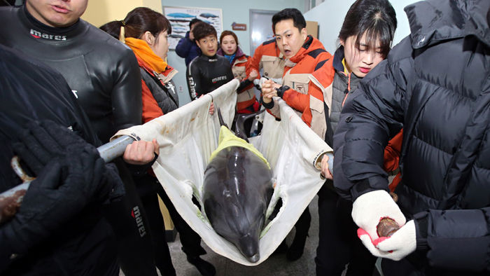 메인이미지  5 : 