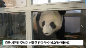 [비디오머그] 시진핑이 선물한 판다 ‘아이바오’와 ‘러바오’&hellip; 한국 도착