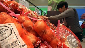 양파 '금값' 고공행진&hellip;재배면적 줄고 가뭄 타격