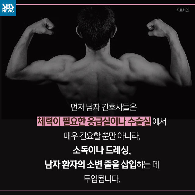 메인이미지  8 : 