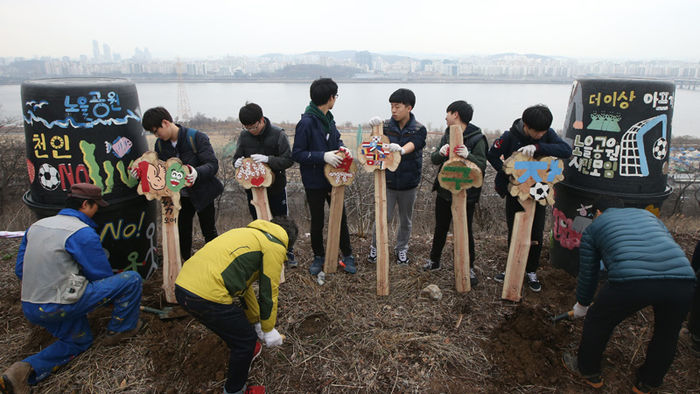 메인이미지  5 : 5일 오전 서울 마포구 상암동 노을공원에서 열린 '천인공NO쌩큐 축구장 건설, 1천명 나무심기' 행사에 참가한 노을공원시민모임 회원과 시민들이 마포구가 공원에 추진 중인 축구장, 풋살구장 등 체육시설 건립사업에 반대하는 나무팻말을 세우고 있다.
