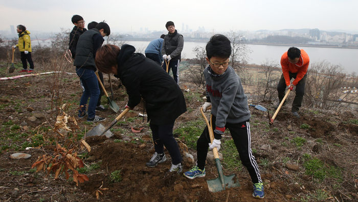 메인이미지  3 : 5일 오전 서울 마포구 상암동 노을공원에서 열린 '천인공NO쌩큐 축구장 건설, 1천명 나무심기' 행사에 참가한 노을공원시민모임 회원과 시민들이 마포구가 추진 중인 축구장 등 체육시설 건립에 반대하며 공원 비탈면에 상수리나무, 층층나무 등 560그루의 나무를 심고 있다.