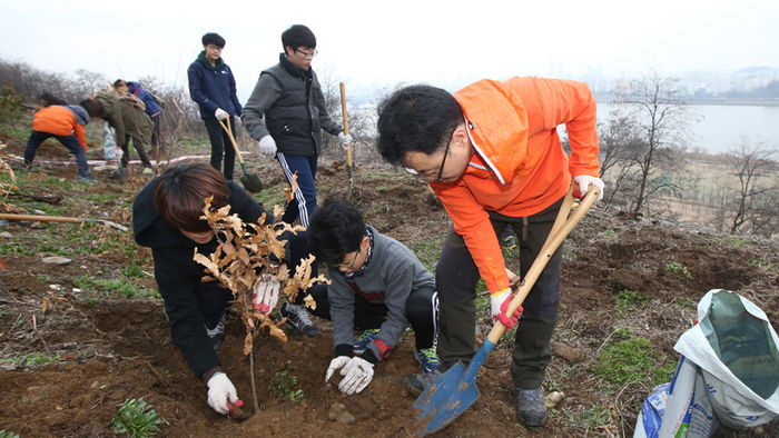 메인이미지  2 : 5일 오전 서울 마포구 상암동 노을공원에서 열린 '천인공NO쌩큐 축구장 건설, 1천명 나무심기' 행사에 참가한 노을공원시민모임 회원과 시민들이 마포구가 추진 중인 축구장 등 체육시설 건립에 반대하며 공원 비탈면에 상수리나무, 층층나무 등 560그루의 나무를 심고 있다. 