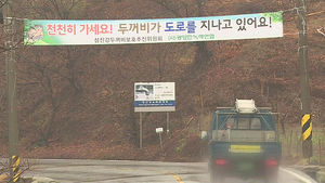 [광주] 섬진강 두꺼비 '로트킬'&hellip;떼죽음 '참혹'
