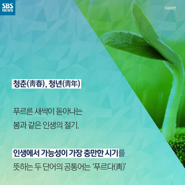 메인이미지  2 : 