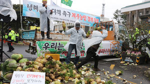 [슬라이드 포토] "냉해 입은 월동무 현실적 보상하라"