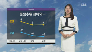 [날씨] '꽃샘추위' 남부는 비, 동해안은 눈