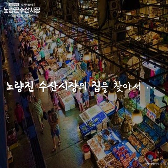 메인이미지  1 : 
