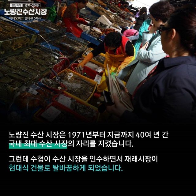 메인이미지  3 : 