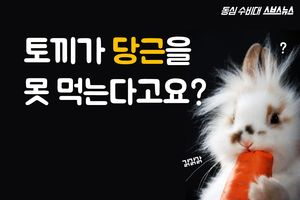 '토끼가 당근을 못 먹는다고요?'&hellip;갑론을박 진실은?