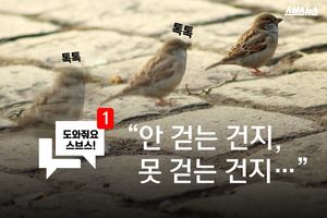 "안 걷는 건지, 못 걷는 건지&hellip;" 미스터리한 참새
