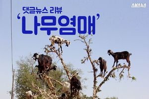 '주렁주렁' 염소 달린 나무&hellip;인간 욕심 때문에?