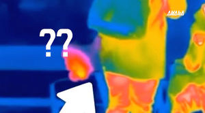'방귀 뀌면 열화상카메라에 잡힌다?!'&hellip;실험 결과는