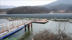 '세계 최대' 추풍령저수지 태양광발전소 1년 만에 폐업 위기