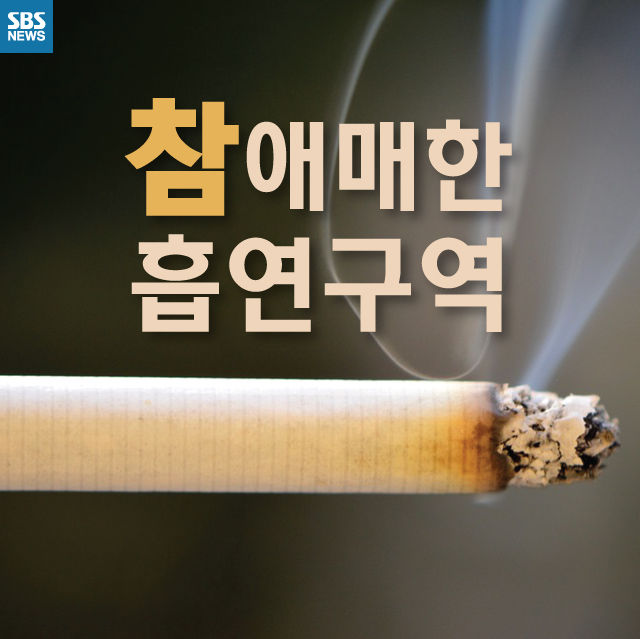 메인이미지  1 : 