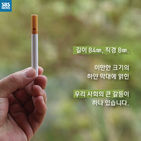 섬네일이미지  2: