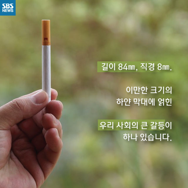 메인이미지  2 : 