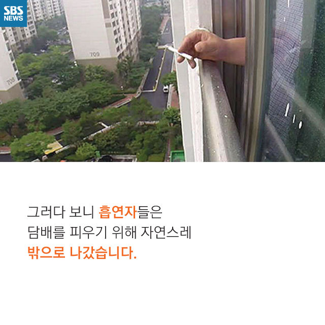 메인이미지  6 : 