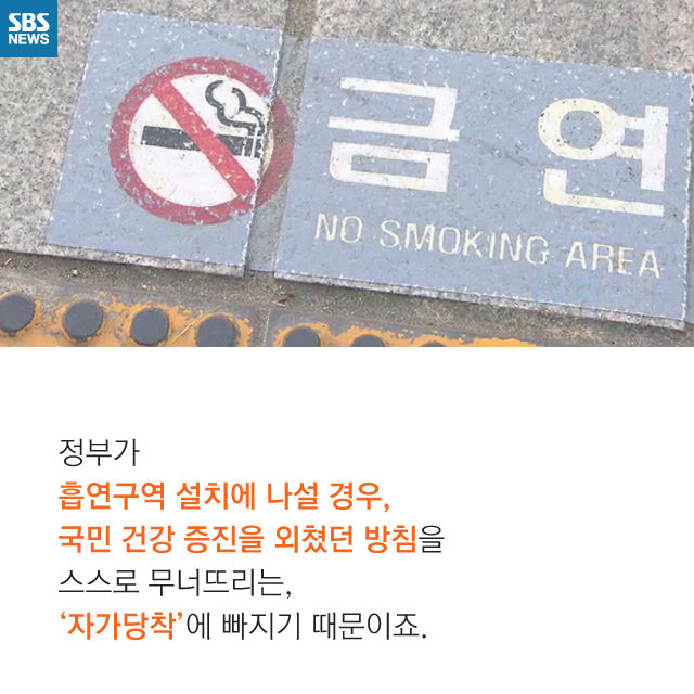 메인이미지  12 : 