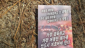 서울대 캠퍼스에서도 북한 삐라 무더기 발견