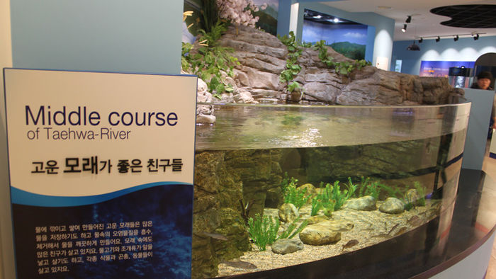 메인이미지  7 : 울산시 울주군이 13년째 태화강에 회귀하는 연어를 비롯해 태화강에 사는 어종을 보존하는 생태관을 개관했다.