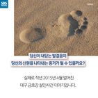 섬네일이미지  2: