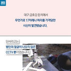 섬네일이미지  3: