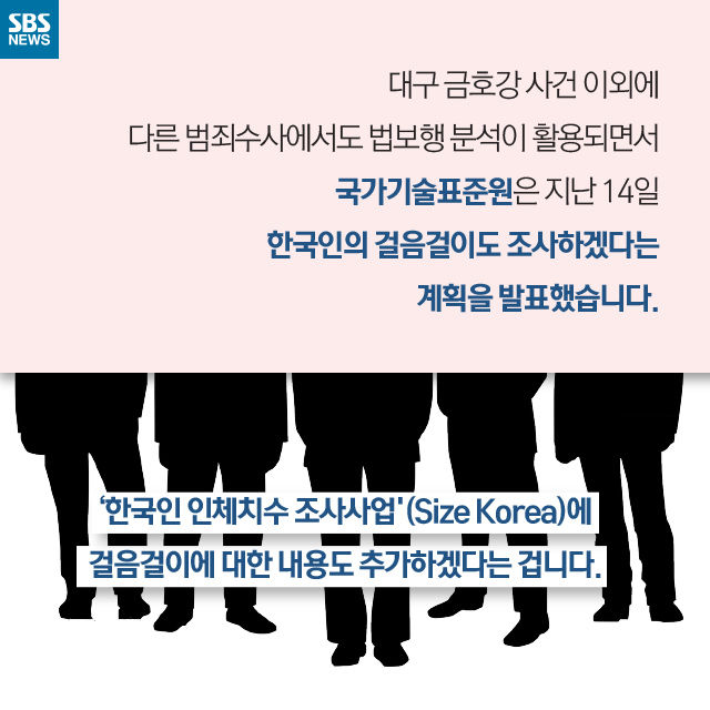 메인이미지  9 : 