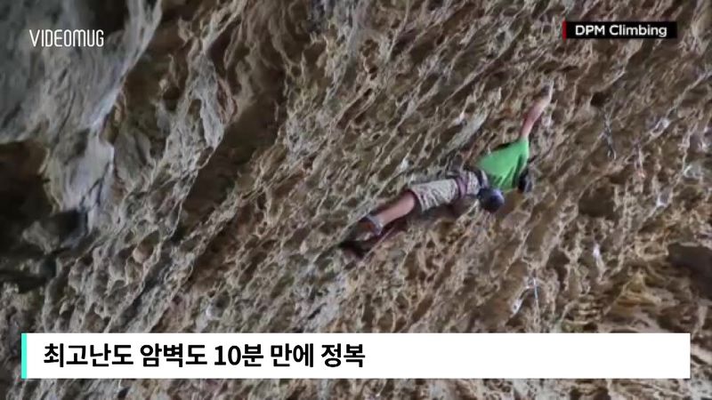 비디오머그 기사