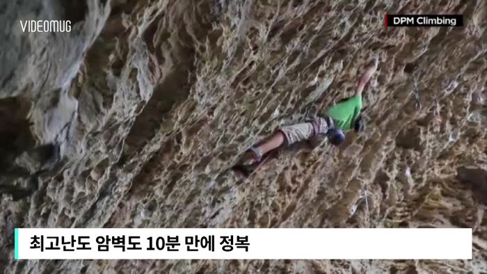 비디오머그 기사
