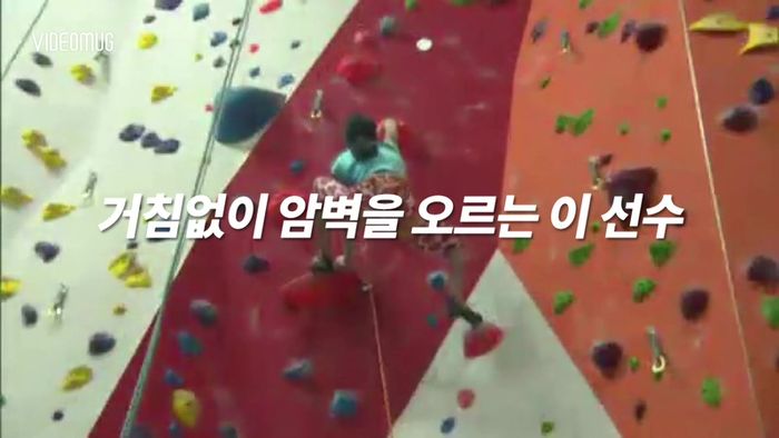 비디오머그 기사