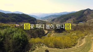 [비디오머그] 구례 산동마을에 핀 노란 산수유 꽃&hellip;'벌써 봄이 왔네'