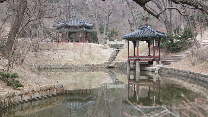 메인이미지  3 : 18일 서울 종로구 창덕궁 후원 관람지의 풍경. 연못 주변에 있는 생강나무꽃은 이미 노란 봉오리가 맺혔다.(서울=연합뉴스)
