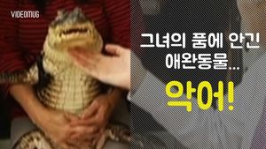 [비디오머그] 거침없이 키스♥&hellip;'순둥이' 악어의 반전 매력