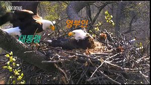 [비디오머그] 부모가 된 독수리 대통령과 영부인&hellip;'깜찍 그 자체'