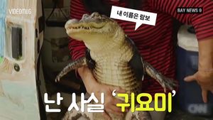 매력 만점 애완 악어와 '달콤 살벌한 동거'