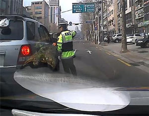 난폭운전 도주&hellip;잡고 보니 음주 면허취소 수배자