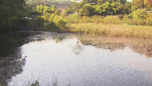 [울산] 옥동 우류저수시설에 수변공원 조성해 활용