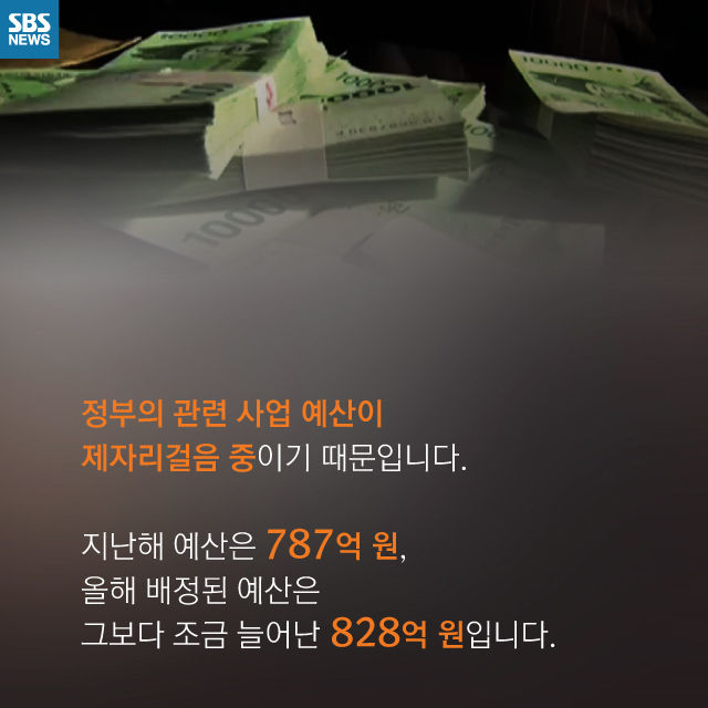 메인이미지  8 : 