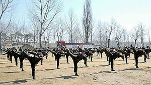 "북한군 2개 부대, 시리아서 알아사드 위해 전투"